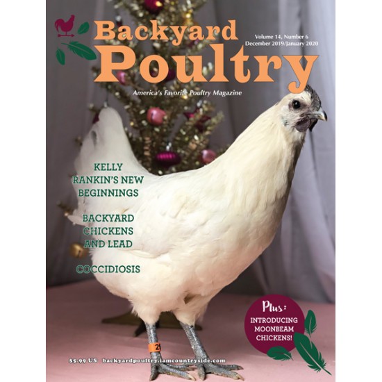 Backyard Poultry