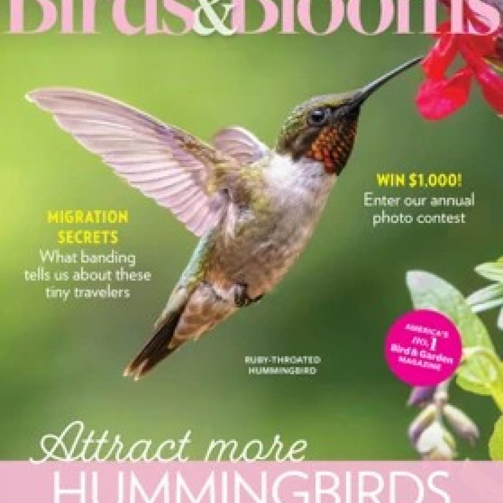 Subscribe or Renew Birds & Blooms Magazine Subscription. Save 28