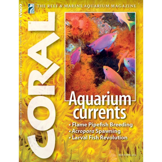CORAL Magazine