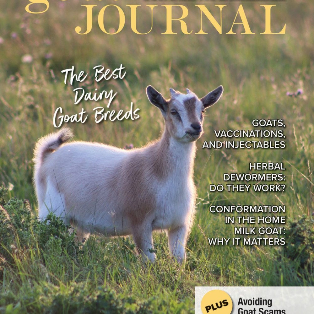 Subscribe or Renew Goat Journal Magazine Subscription.