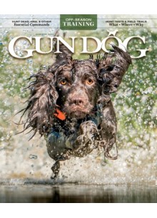 Gun Dog Gun Dog