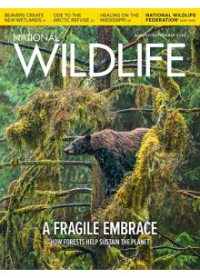 National Wildlife