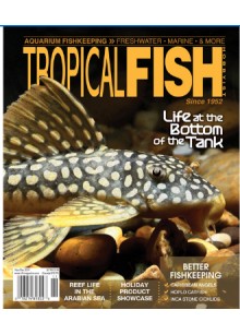 Tropical Fish Hobbyist Tropical Fish Hobbyist