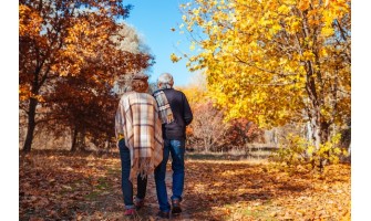 Why Fall is the Best Season Yet People Dread the Coming Winter
