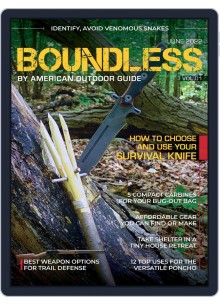 Renewal Subscription  Bear Hunting Magazine