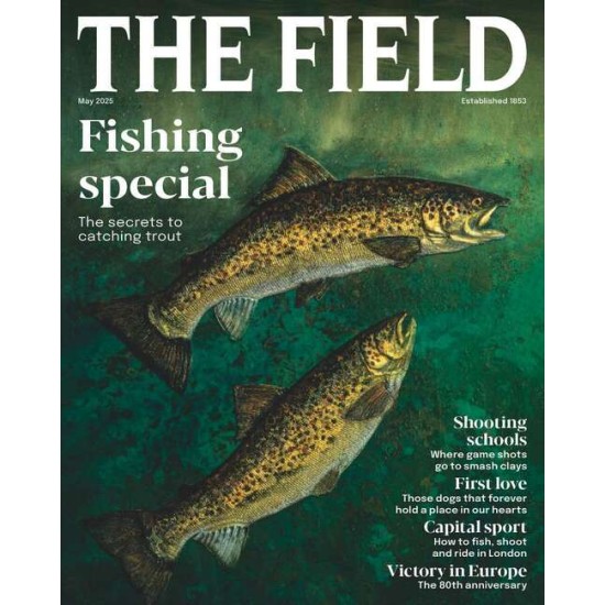 The Field (UK) The Field (UK)