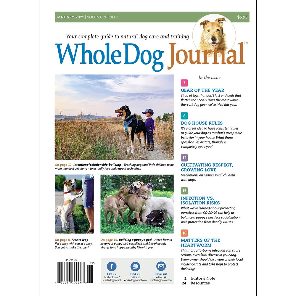 https://subscribe-renew.com/image/cache/catalog/Monthly/Whole-Dog-Journal-Magazine-Cover-1000x1000.jpg