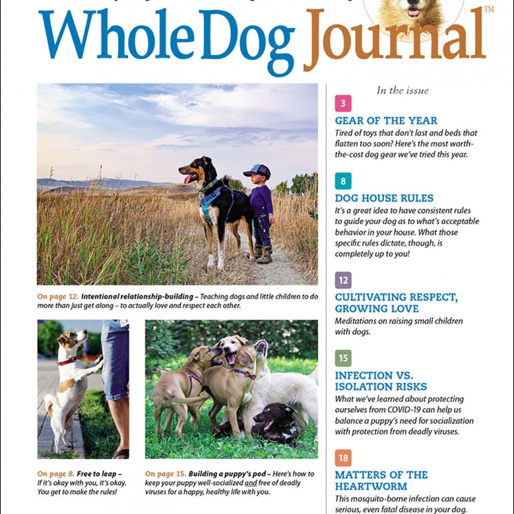 Subscribe or Renew Whole Dog Journal Magazine Subscription. Save 71