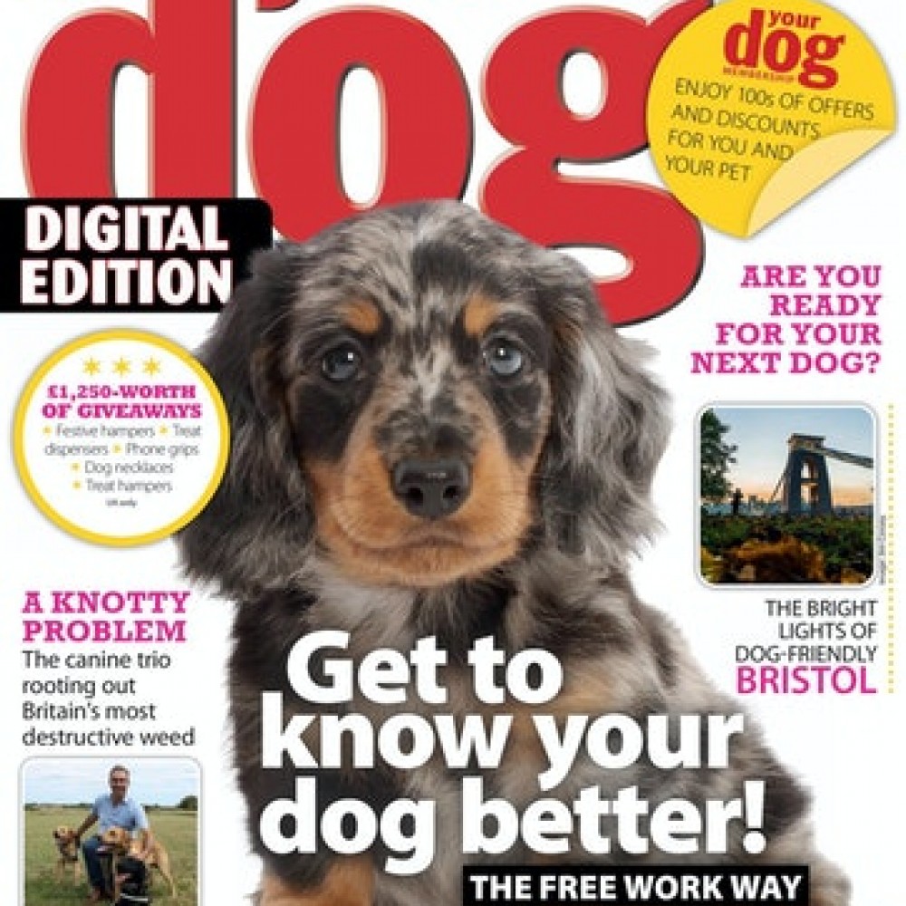Subscribe or Renew Your Dog Magazine Subscription. Save 54