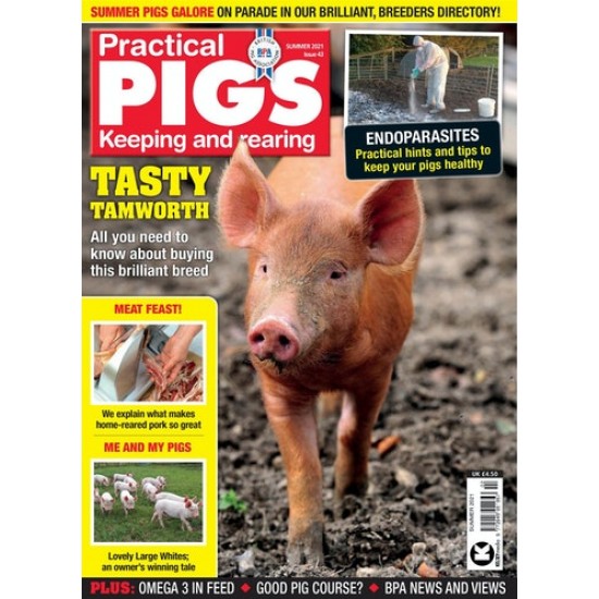 Practical Pigs (UK)