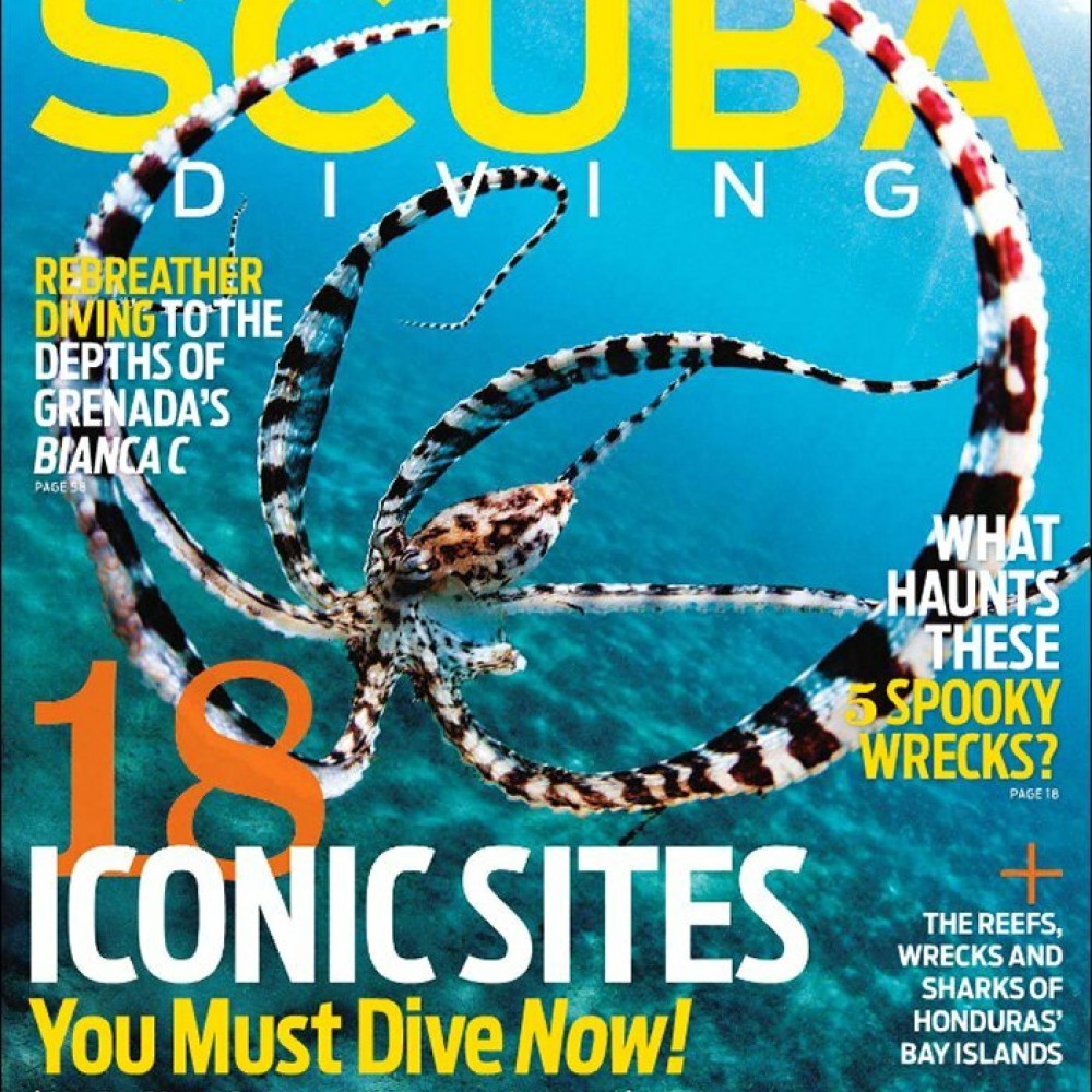 Subscribe or Renew Scuba Diving Magazine Subscription. Save 75