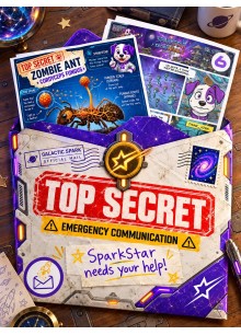 SparkStar's MailVenture