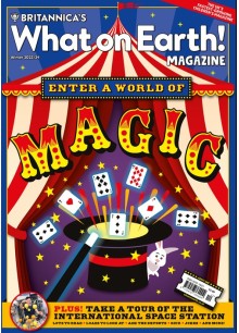 What on Earth! What on Earth!