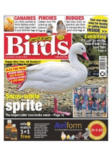 Cage & Aviary Birds (UK)