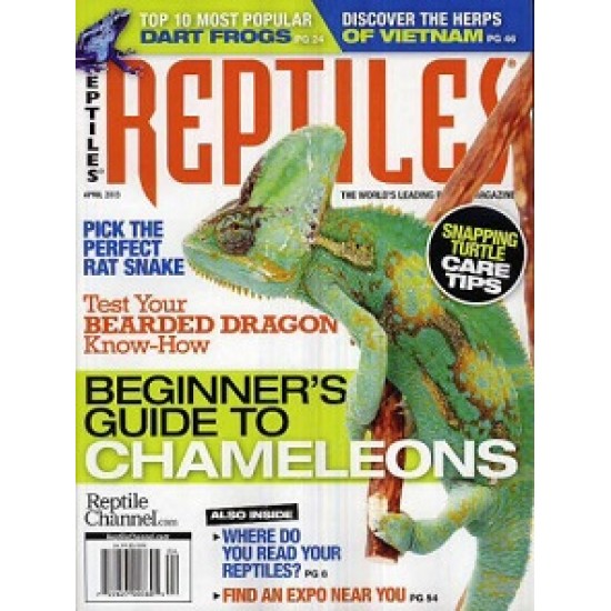 Dragon Snake - Reptiles Magazine